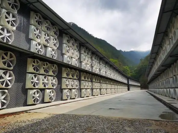 A view of a large-scale mining farm with numerous machines working together