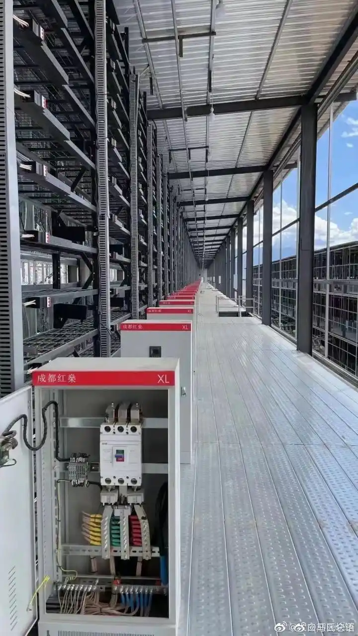 A well-organized mining farm with rows of ASICs operating.