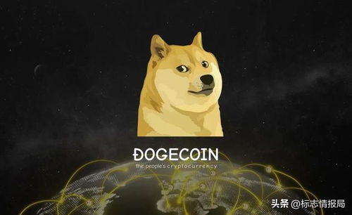 Dogecoin miner with a Shiba Inu displayed on a screen