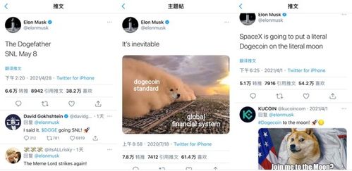 Symbolic representation of a diverse cryptocurrency portfolio including Kaspa